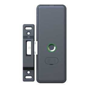 Avant Guard Smart Grille Lock G41