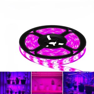 AG Smart LED Lightstrip (RB) 10M – BLE Mesh01