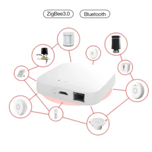 AG Wired Gateway (Zigbee + BLE)1