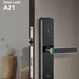 Avant Guard Smart Airbnb Lock A21
