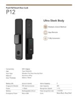 Avant Guard Smart Door Lock P12