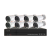 8 Channels