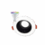 White + Black