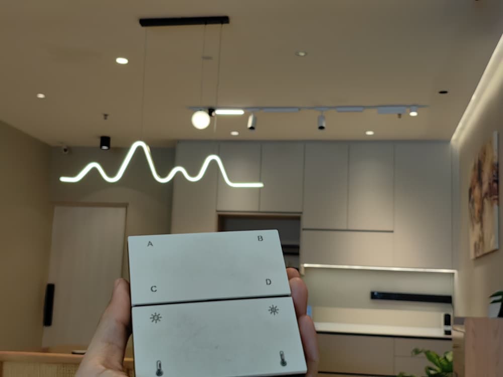 Avant Guard smart switch panel with offline Bluetooth mesh lighting